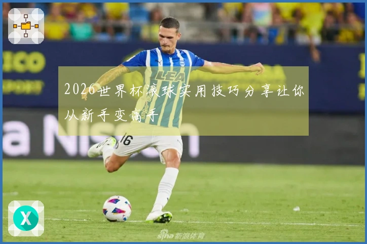 2026世界杯滚球实用技巧分享让你从新手变高手