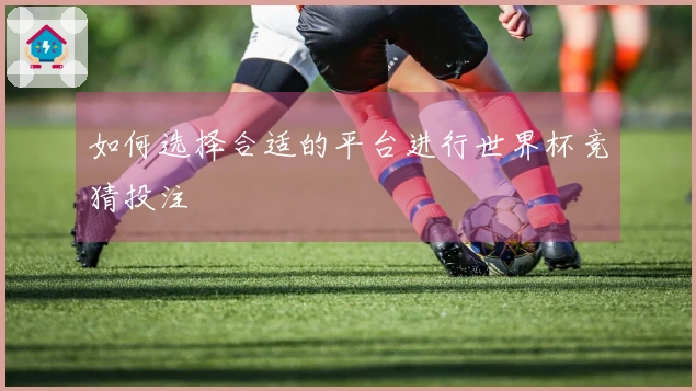 如何选择合适的平台进行世界杯竞猜投注