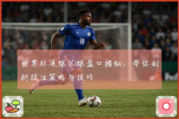 世界杯滚球买球盘口揭秘,带你剖析投注策略与技巧