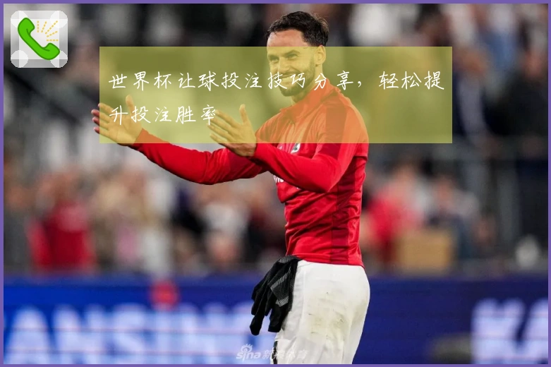 世界杯让球投注技巧分享，轻松提升投注胜率