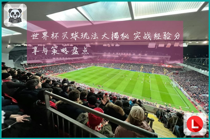 世界杯买球玩法大揭秘 实战经验分享与策略盘点