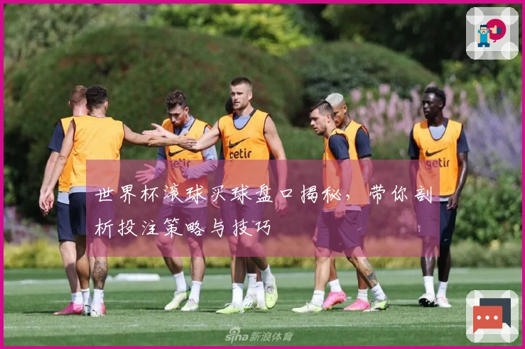 世界杯滚球买球盘口揭秘，带你剖析投注策略与技巧