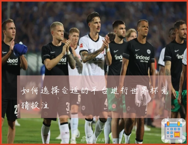 如何选择合适的平台进行世界杯竞猜投注