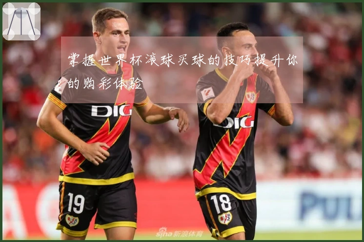 掌握世界杯滚球买球的技巧提升你的购彩体验