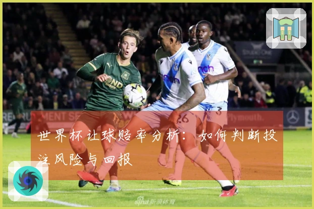 世界杯让球赔率分析:如何判断投注风险与回报