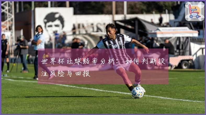 世界杯让球赔率分析：如何判断投注风险与回报
