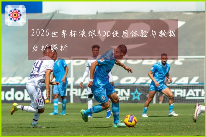 2026世界杯滚球App使用体验与数据分析解析