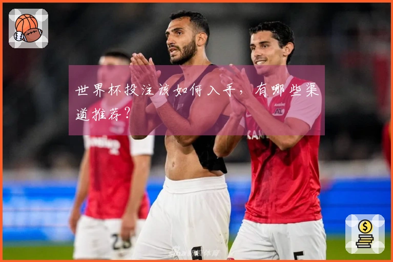 世界杯投注该如何入手，有哪些渠道推荐？