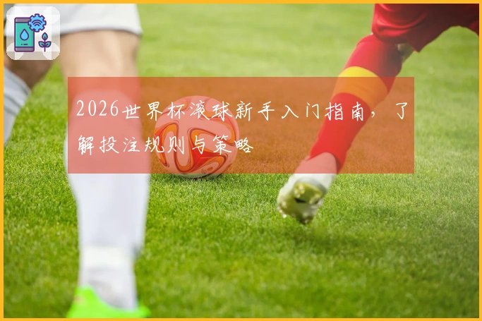 2026世界杯滚球新手入门指南，了解投注规则与策略