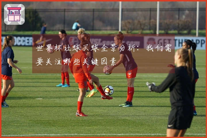 世界杯让球买球全景分析：我们需要关注哪些关键因素