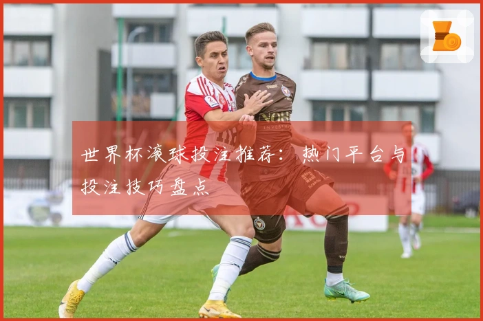 世界杯滚球投注推荐：热门平台与投注技巧盘点